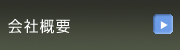 ЊTv